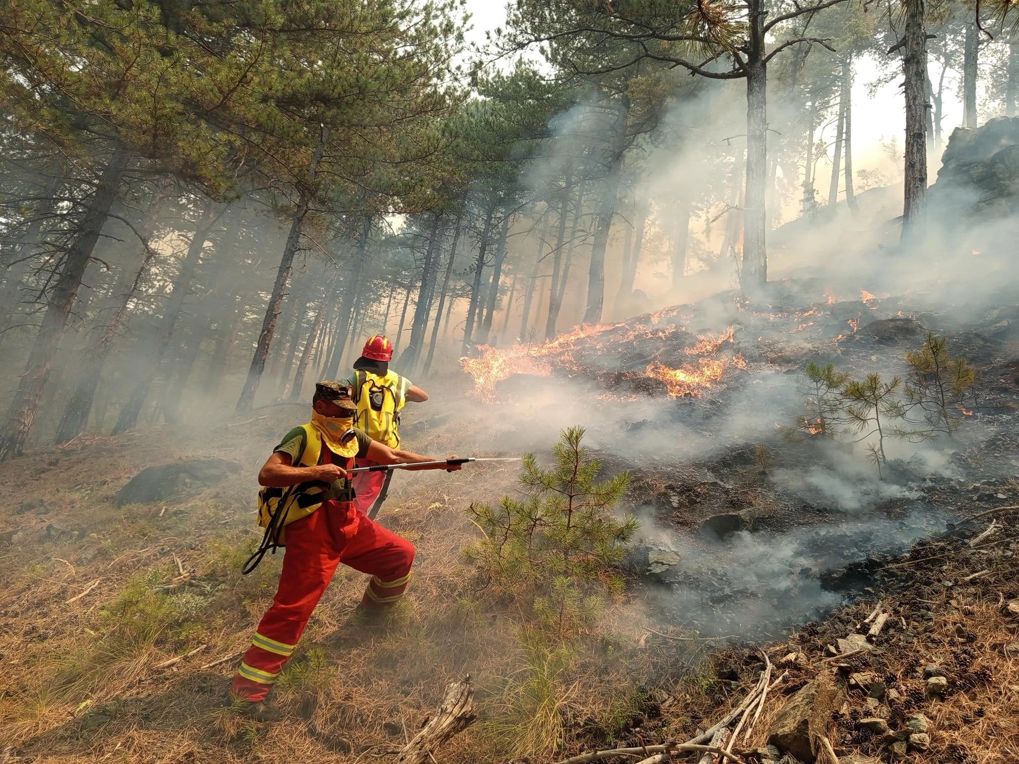 Situata alarmante me zjarre në Shqipëri, bëhet thirrje urgjente për evakuim