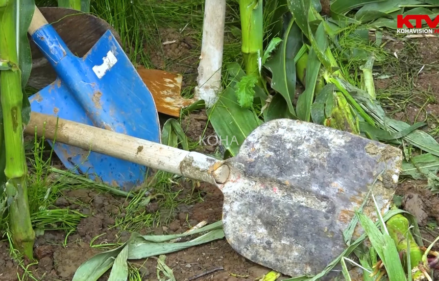 Baicë Enver Bajraktari