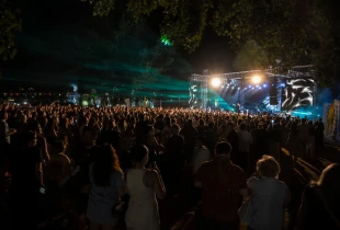 Thirrja për detoks si metaforë me muzikë e aktivitete vetëdijesuese