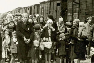 Gra e fëmijë duke pritur për fatin e tyre në kampin e Auschwitzit në Birkenau. Disa do të bëheshin qenie për eksperimente...