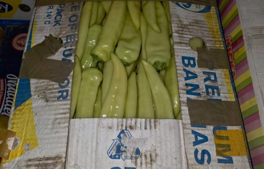 Kontrabanda me speca