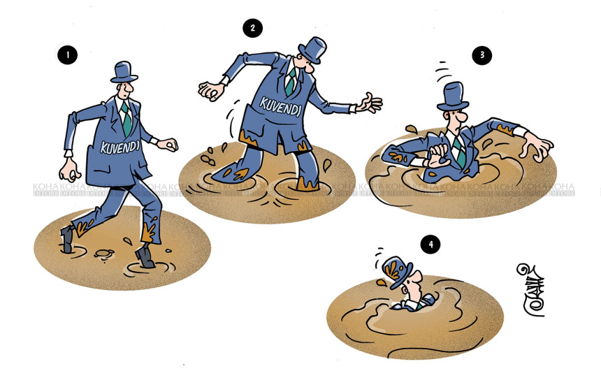 Karikatura e ditës - "Balta e gjallë" e konstituimit