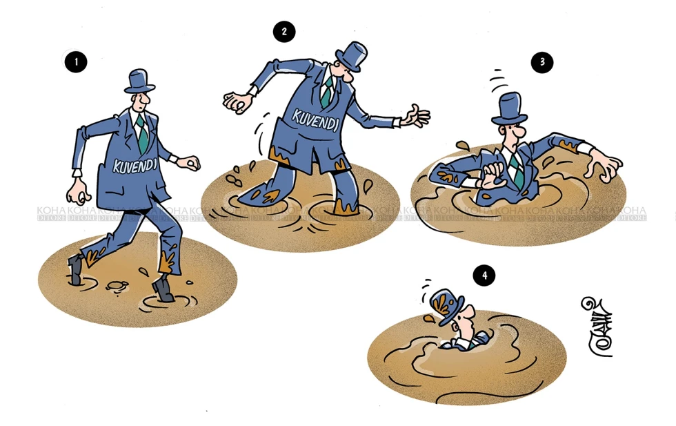 Karikatura e ditës - "Balta e gjallë" e konstituimit