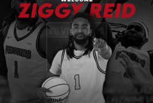Ziggy REid