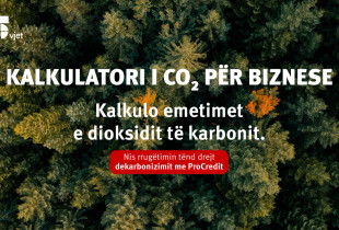 ProCredit