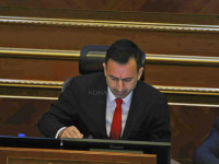 Dimal Basha merr pozitën e kryeparlamentarit