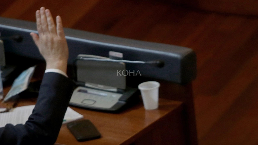 Kush si votoi për Bashën kryeparlamentar?