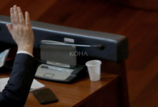 Votimi - kuvendi - dora duke votuar - ngritja e dores