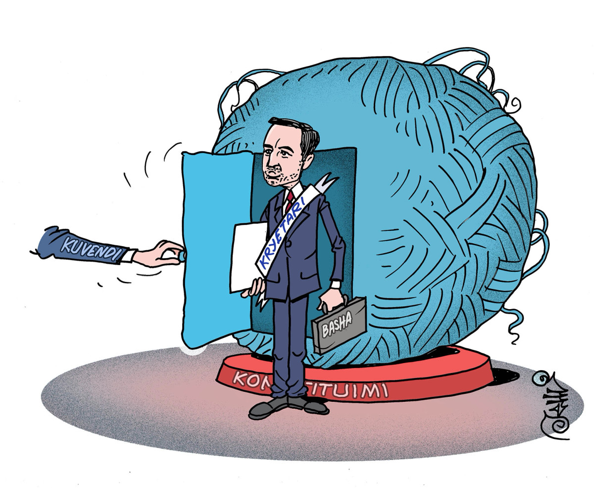 karikatura-e-dites-dalja-nga-lemshi-konstituiv
