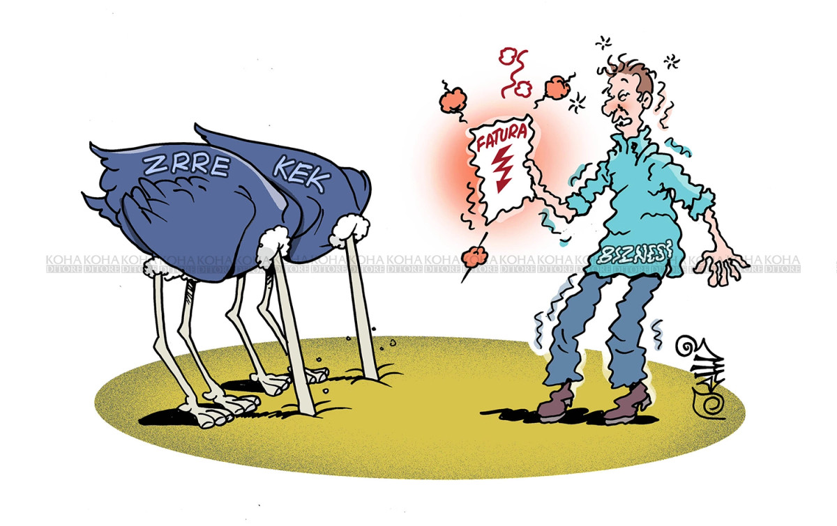karikatura-e-dites-bizneset-dhe-cmimi-i-trefishuar-i-faturave