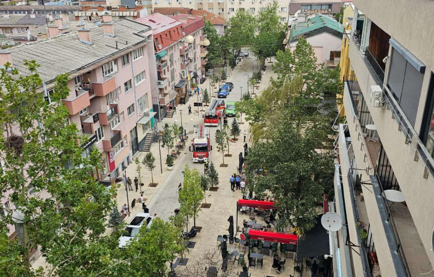 Lisi - Rruga Rexhep Luci