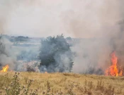 Zjarri