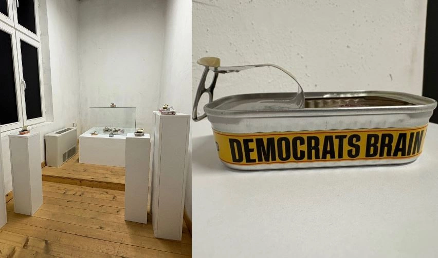 “The Preserved Brains” e Leon Ispahiut ka marrë çmimin “RAW” të bienales “Fragmenta”