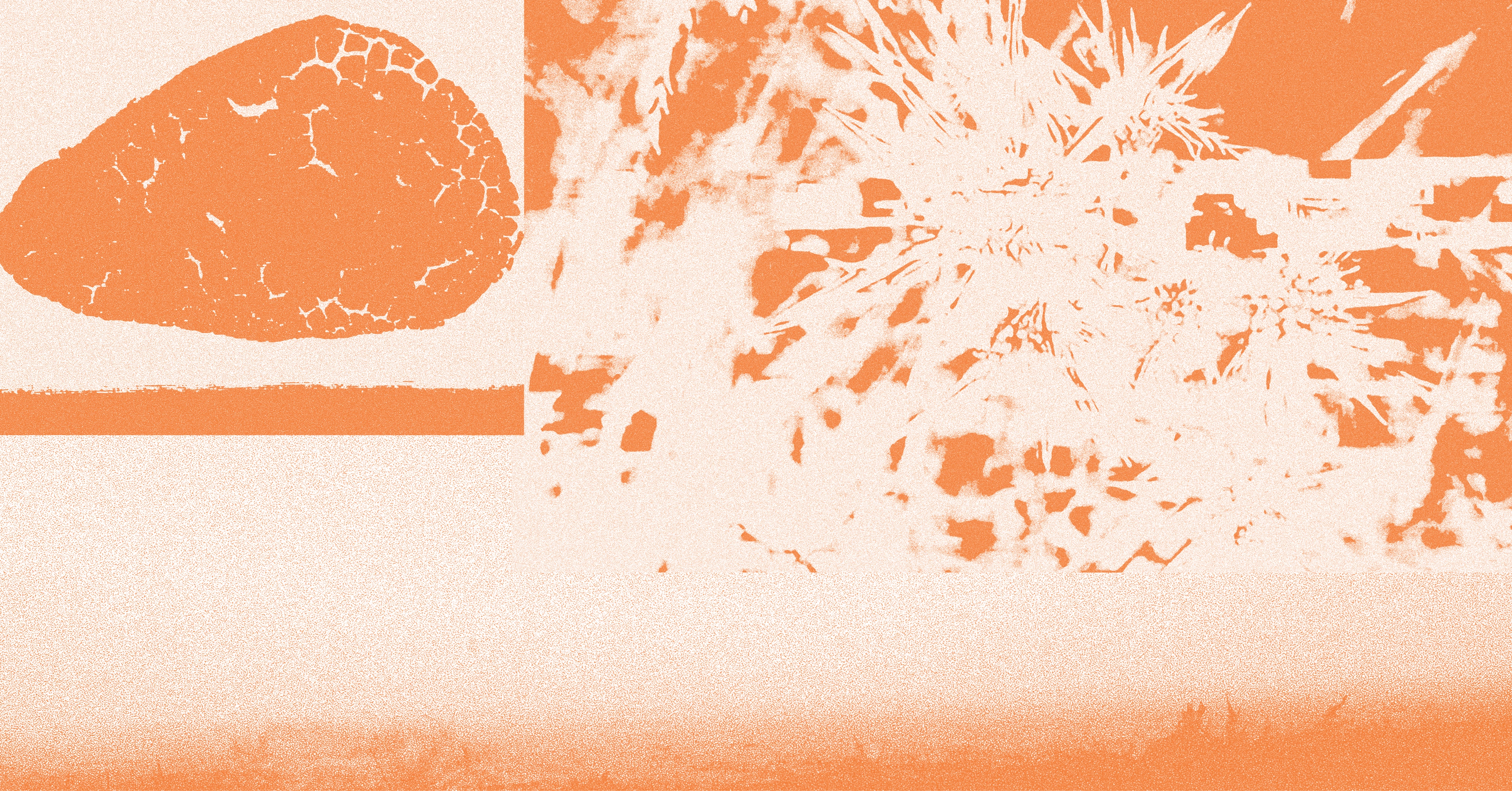 Ekspozita &quot;Shtëpi&quot;