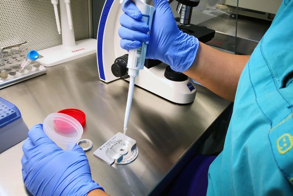 Fertilizimi artificial