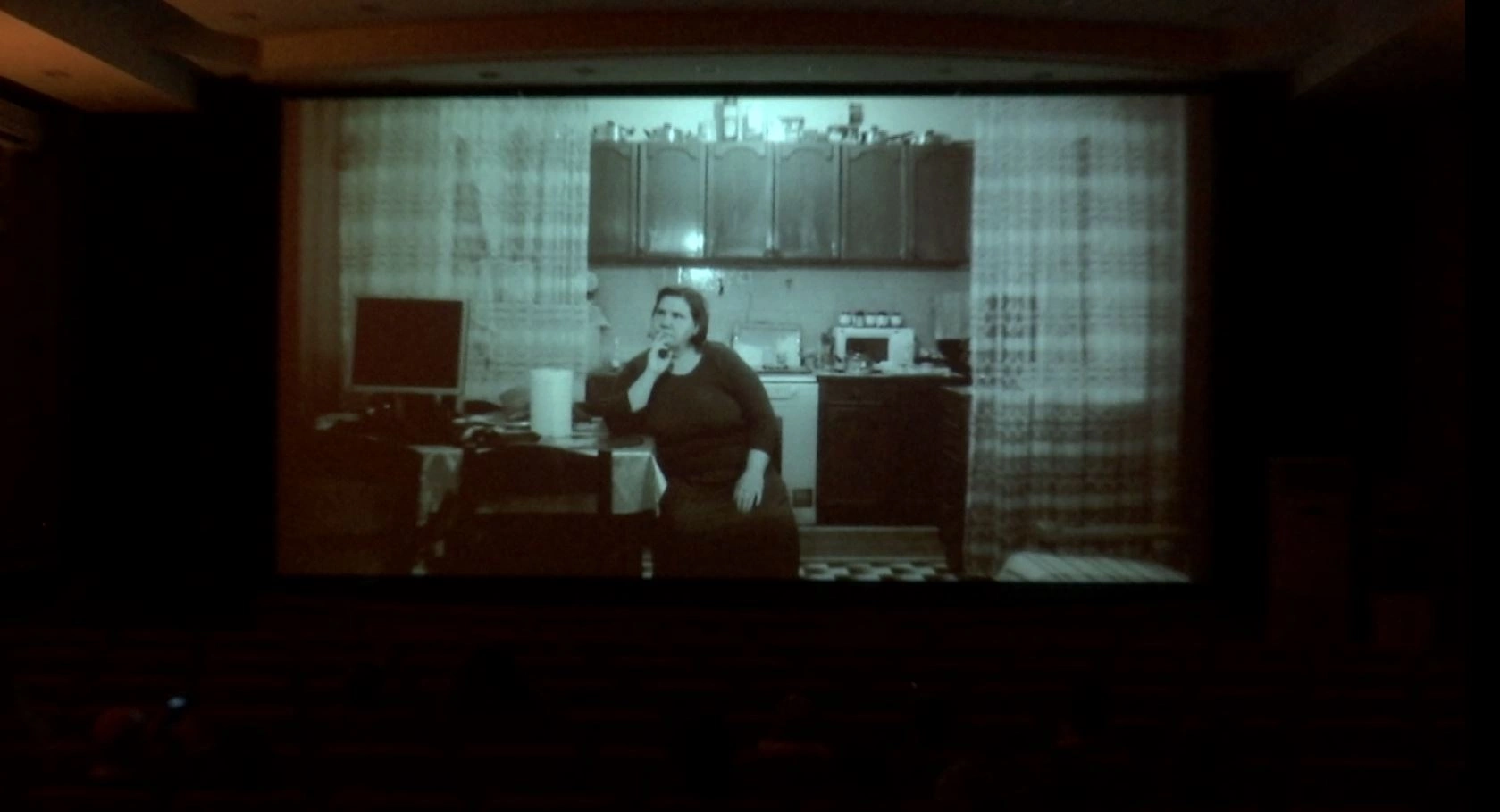 Në filmin e shkurtër “Ferdonija”, dokumentimi nuk është thjesht rrëfim i një historie personale, por përpjekje për të kapur një përvojë që i tejkalon kufijtë individualë