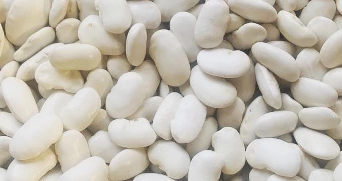 si-duhet-te-ruhet-fasulja