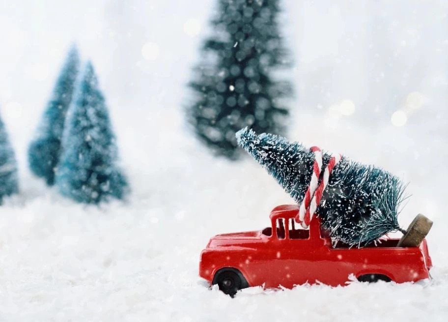 historia-e-tradites-se-dekorimit-te-pishave-per-krishtlindje