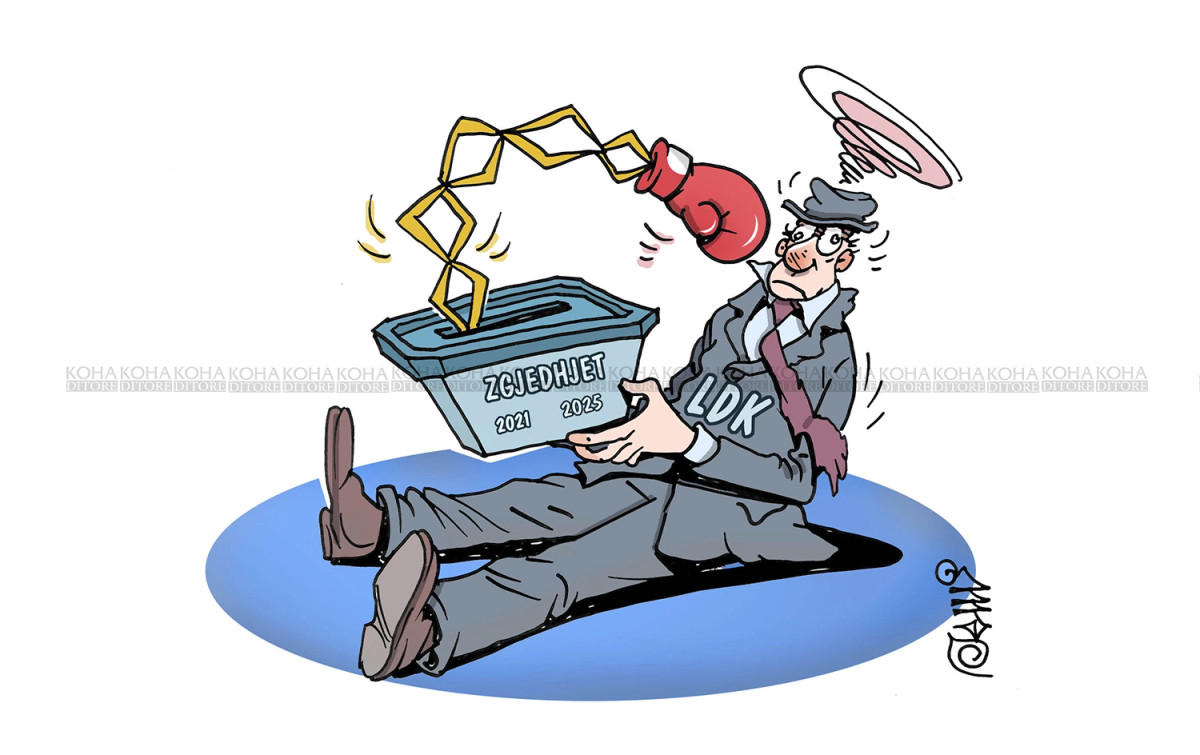 Karikatura e ditës   LDK dhe zgjedhjet