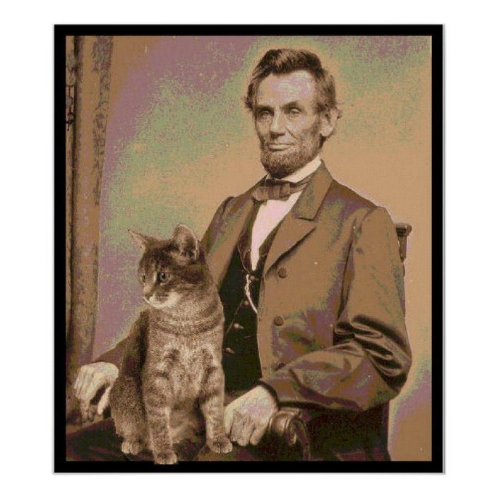 Lincoln and his cat