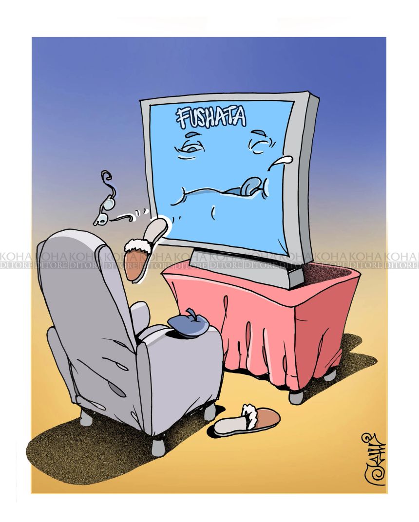 Karikatura e ditës