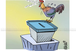 Karikatura e ditës - 9 shkurt 2025