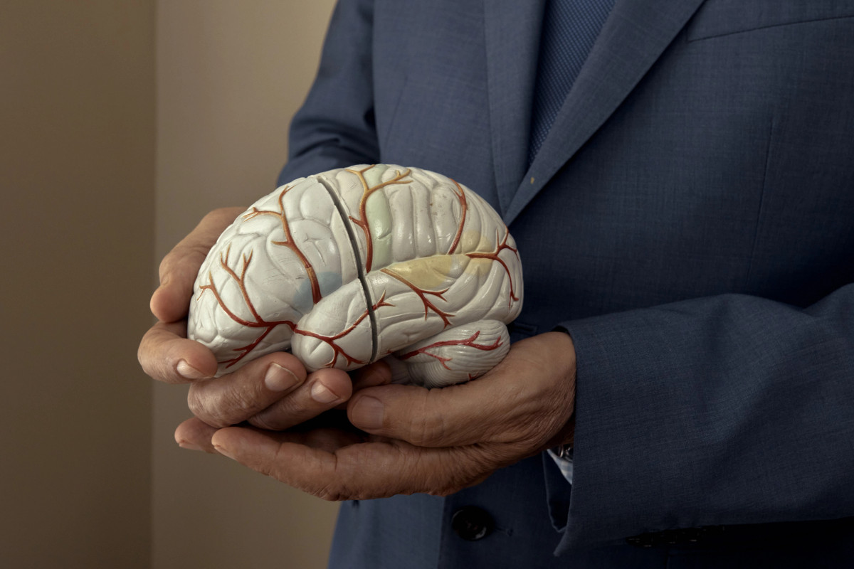 Zhvillimi i trurit kalon në pesë faza gjatë jetës  adoleshenca zgjat deri në të 30 at