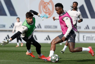 Vini