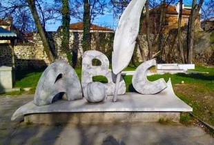 Instituti i Gjuhësisë dhe i Letërsisë ka theksuar rolin e gjuhës amtare shqipe si mjet identifikimi dhe bashkimi, rol i cili ka qenë i jashtëzakonshëm në rrugëtimin e shqiptarëve në shekullin XX