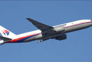 “Malaysia Airlines”