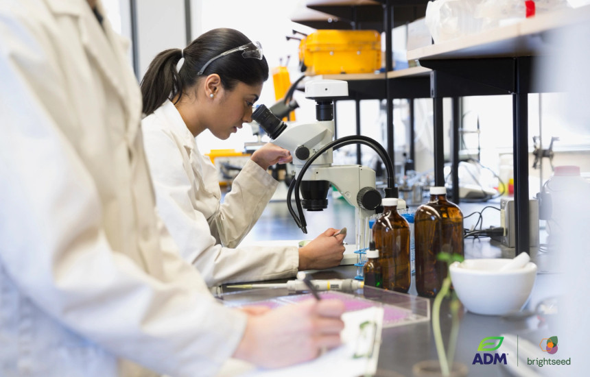 Testet shëndetësore