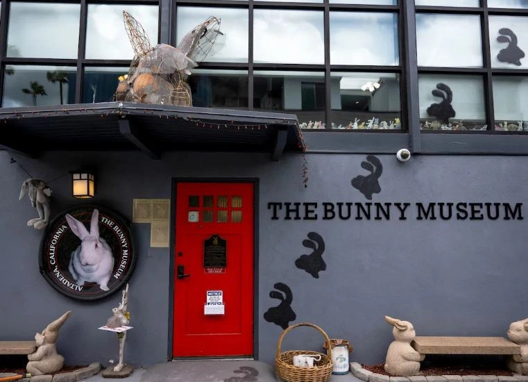 Muzetë -Los Angeles -zjarret