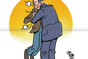 Karikatura e ditës