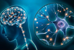 Çrregullimi kognitiv i zakonshëm me simptoma shumë të ngjashme me Alzheimerin, i quajtur limbic-predominant age-related TDP-43 encephalopathy , ose shkurt LATE