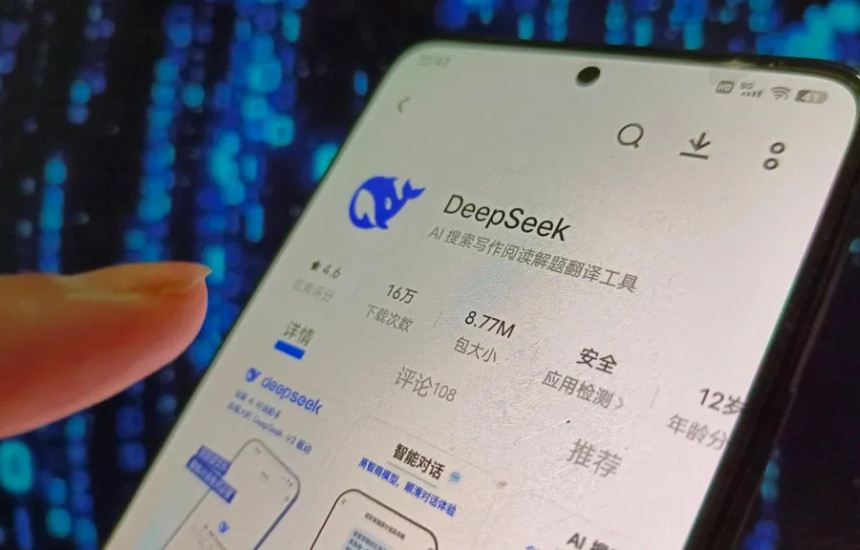 DeepSeek - aplikacioni