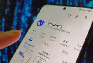 DeepSeek - aplikacioni