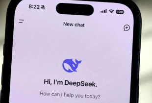 DeepSeek