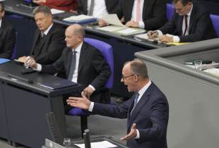 Parlamenti gjerman, friedrich merz