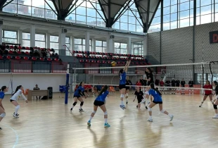 volej