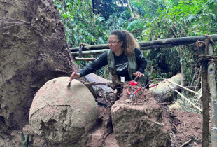 Urnat gjigante nga Amazona zbulojnë ritualet e harruara të varrimit