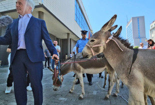 Protesta e avokatit Arianit Koci në Kuvend (Foto: Driton Paçarada)