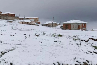bora turqi
