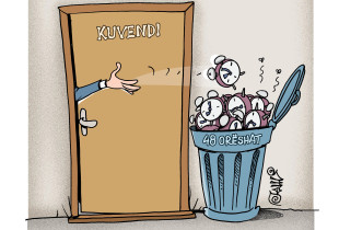 karikatura