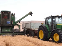 Gruri - korrje shirjet