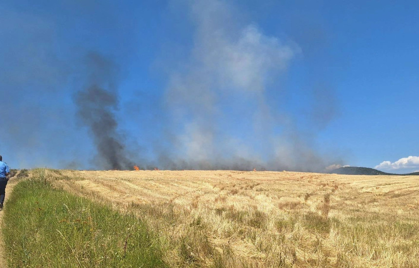 Digjet ara me grurë në Vushtrri