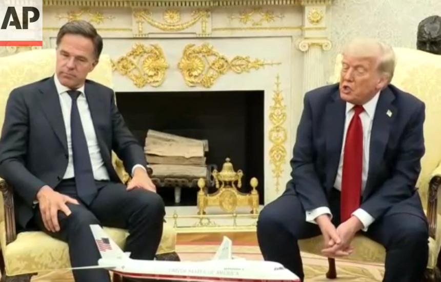 trump rutte