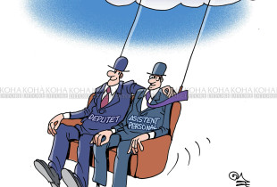 Karikatura e ditës