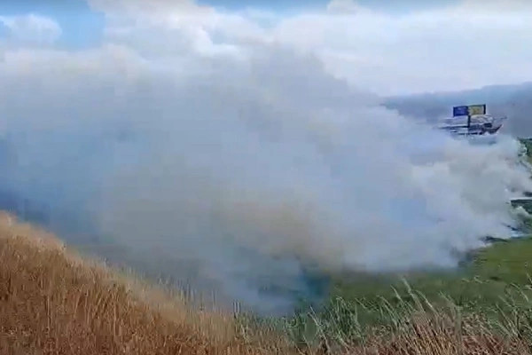 Digjen disa barishte në Komoran