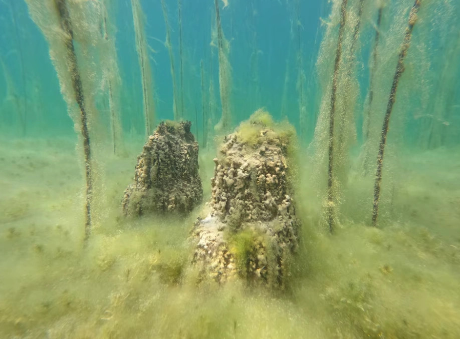 “Reuters”: Zbulohet në Shqipëri vendbanimi më i vjetër nën liqen në Evropë