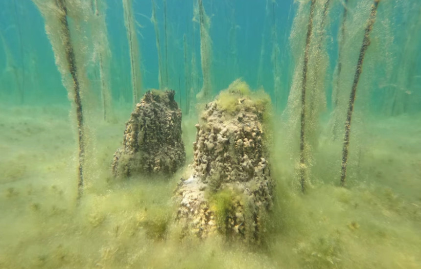 “Reuters”: Zbulohet në Shqipëri vendbanimi më i vjetër nën liqen në Evropë